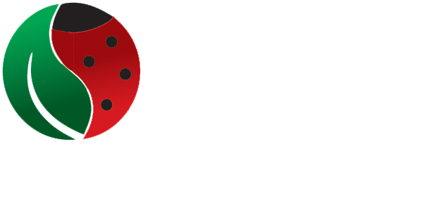 Licata Clean Service - Gela